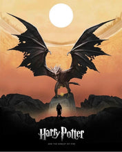 Load image into Gallery viewer, Harry potter -Diamond Painting- 40*50
