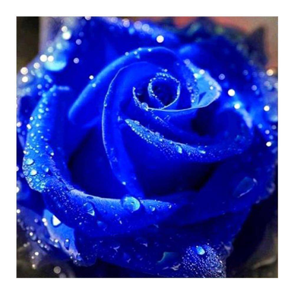 Blue Rose - Full Drill Round Drill - 30x30cm