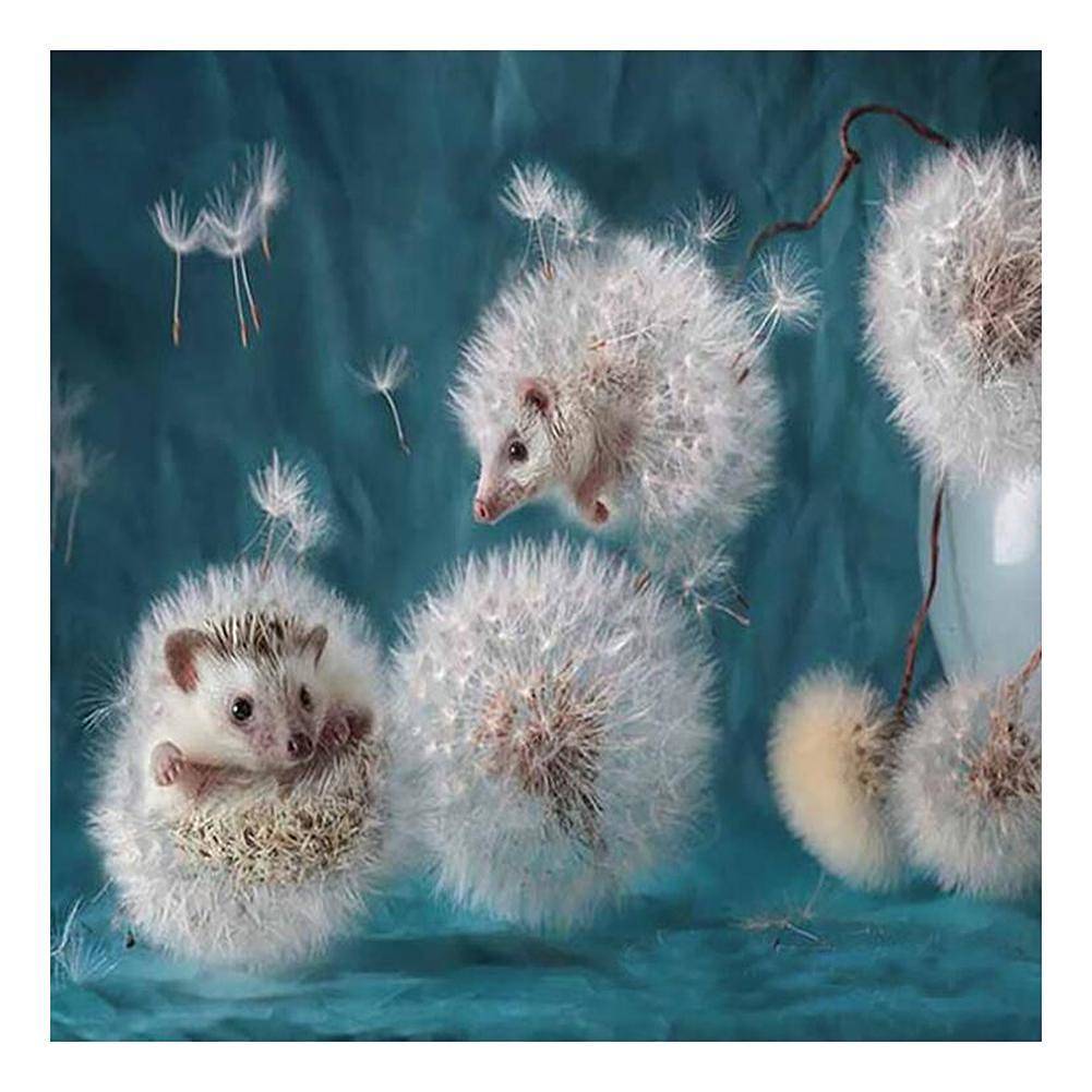 Dandelion Hedgehog - Full Drill Round Drill - 30x30cm