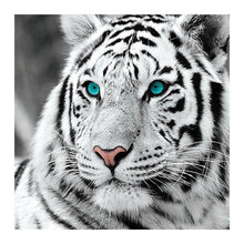 Load image into Gallery viewer, Tiger Head - Full Drill Round Drill - 30x30cm
