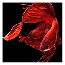 Load image into Gallery viewer, Goldfish - Full Drill Round Drill - 30x30cm
