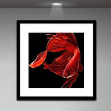 Load image into Gallery viewer, Goldfish - Full Drill Round Drill - 30x30cm
