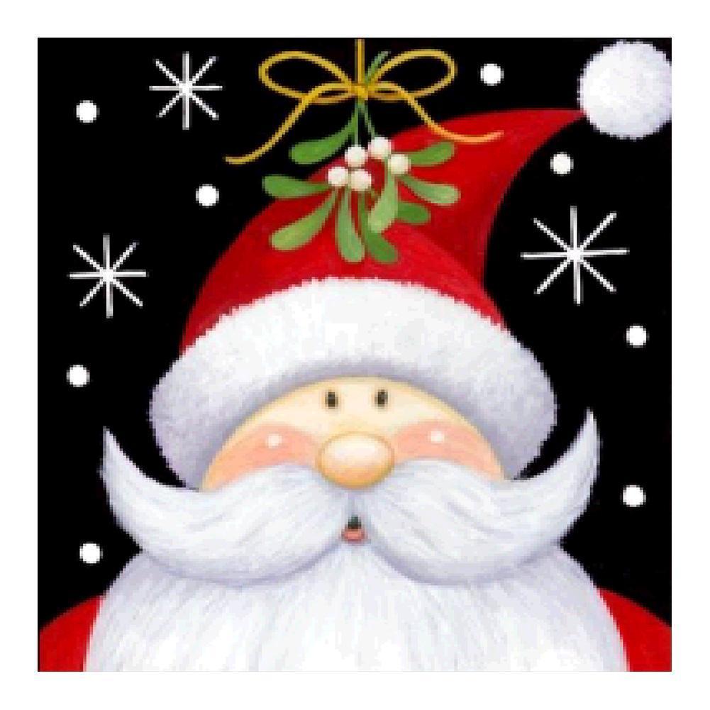 Santa Claus - Full Drill Round Drill - 25x25cm