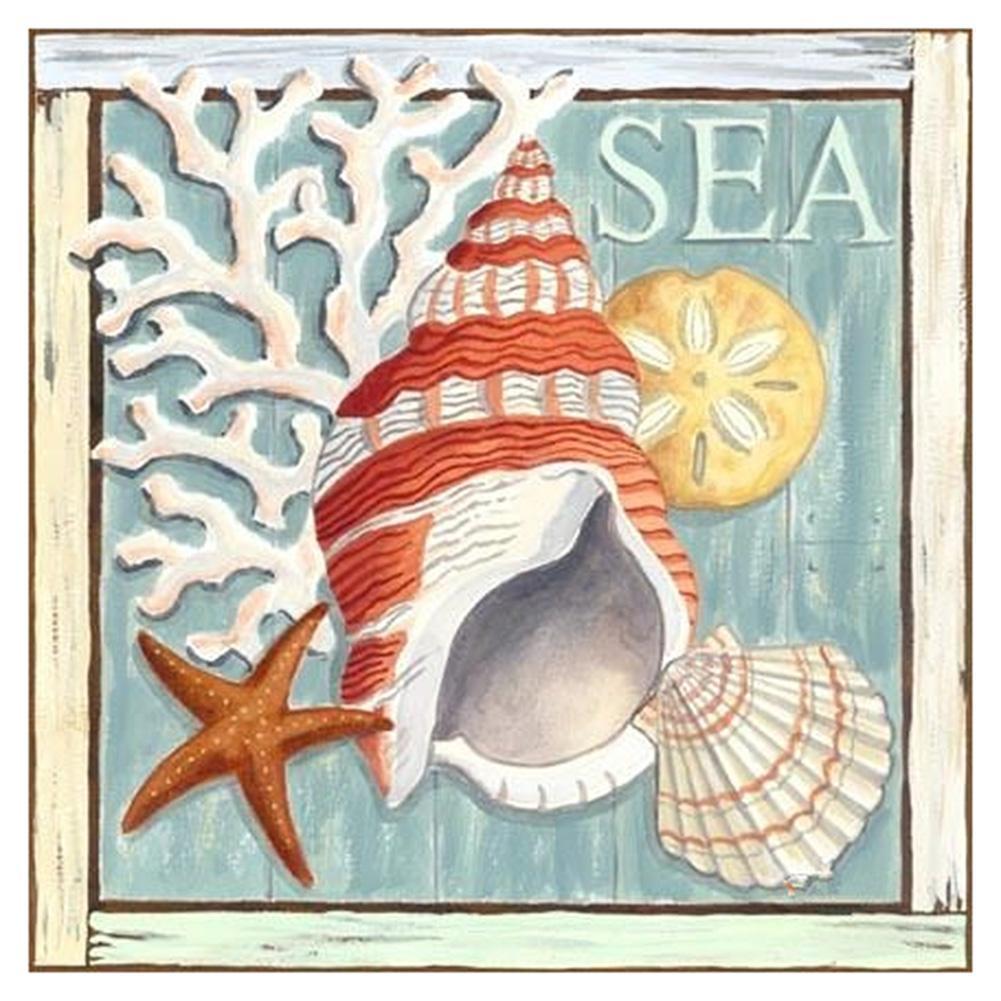 Sea Snail - Full Drill Round Drill - 30x30cm