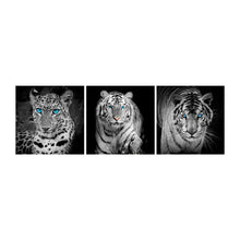 Load image into Gallery viewer, 3pcs/set Animals - Full Square Diamond Painting - 80x30cm
