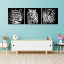 Load image into Gallery viewer, 3pcs/set Animals - Full Square Diamond Painting - 80x30cm
