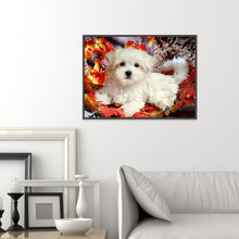 Load image into Gallery viewer, White Dog - Full Drill Round Drill - 40x30cm
