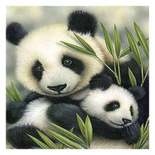 Load image into Gallery viewer, Cute Panda - Full Drill Round Drill - 30x30cm
