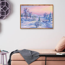 Load image into Gallery viewer, Snow Scenery  - Full Drill Round Drill - 40x30cm
