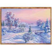 Load image into Gallery viewer, Snow Scenery  - Full Drill Round Drill - 40x30cm
