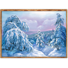 Load image into Gallery viewer, Snow Scenery  - Full Drill Round Drill - 40x30cm
