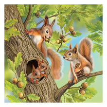 Load image into Gallery viewer, Squirrel  - Full Drill Round Drill - 30x30cm
