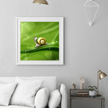 Load image into Gallery viewer, Snail  - Full Drill Round Drill - 30x30cm
