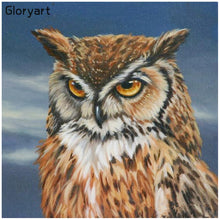 Load image into Gallery viewer, Gloryart Owl  - Full Drill Round Drill - 30x30cm
