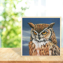 Load image into Gallery viewer, Gloryart Owl  - Full Drill Round Drill - 30x30cm
