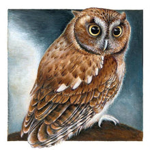 Load image into Gallery viewer, Gloryart Owl  - Full Drill Round Drill - 30x30cm
