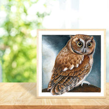 Load image into Gallery viewer, Gloryart Owl  - Full Drill Round Drill - 30x30cm
