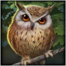 Load image into Gallery viewer, Gloryart Owl  - Full Drill Round Drill - 30x30cm
