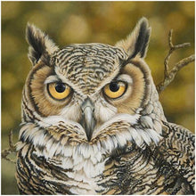 Load image into Gallery viewer, Gloryart Owl  - Full Drill Round Drill - 30x30cm
