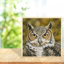 Load image into Gallery viewer, Gloryart Owl  - Full Drill Round Drill - 30x30cm
