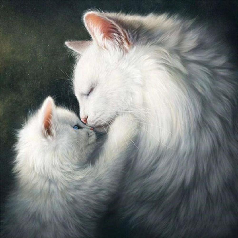 Cat  - Full Diamond Painting - 30x30cm