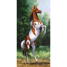 Load image into Gallery viewer, Active Horse - Full Drill Round Drill - 45x85cm
