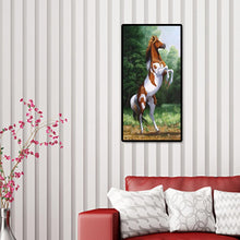 Load image into Gallery viewer, Active Horse - Full Drill Round Drill - 45x85cm
