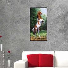 Load image into Gallery viewer, Active Horse - Full Drill Round Drill - 45x85cm
