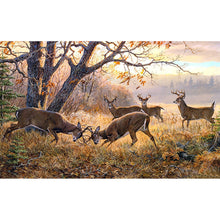 Load image into Gallery viewer, Elk Fighting Under The Tree-Full Drill Diamond Painting-80x40cm
