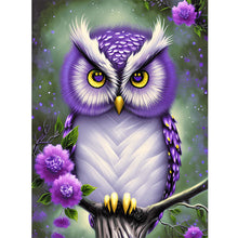 Load image into Gallery viewer, Owl-Full Round Diamond Painting-30x40cm
