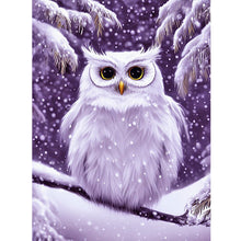 Load image into Gallery viewer, Owl-Full Round Diamond Painting-30x40cm
