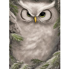 Load image into Gallery viewer, Owl-Full Round Diamond Painting-30x40cm
