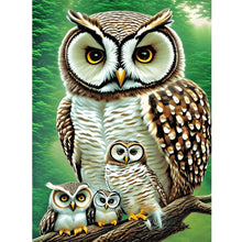 Load image into Gallery viewer, Owl-Full Round Diamond Painting-30x40cm
