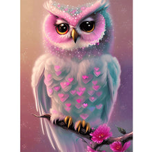 Load image into Gallery viewer, Owl-Full Round Diamond Painting-30x40cm
