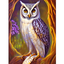 Load image into Gallery viewer, Owl-Full Round Diamond Painting-30x40cm
