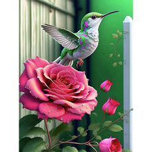 Load image into Gallery viewer, Hummingbird Moonlight Flower-Full Round Diamond Painting-30x40cm
