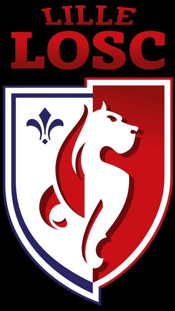 Football Lille Losc-Round/Square Diamond Painting