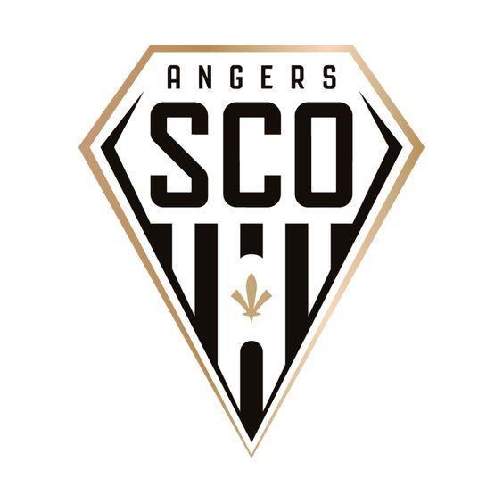 Football Angers SCO-Round/Square Diamond Painting